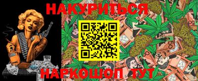 крисы Шахты
